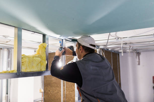 Best Commercial Insulation Contractor  in Gman, IL