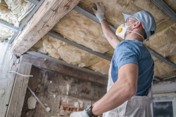 Best Cellulose Insulation  in Gman, IL