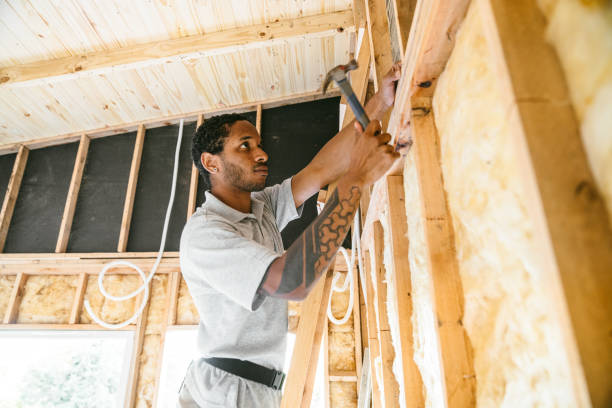 Best Spray Foam Insulation  in Gman, IL