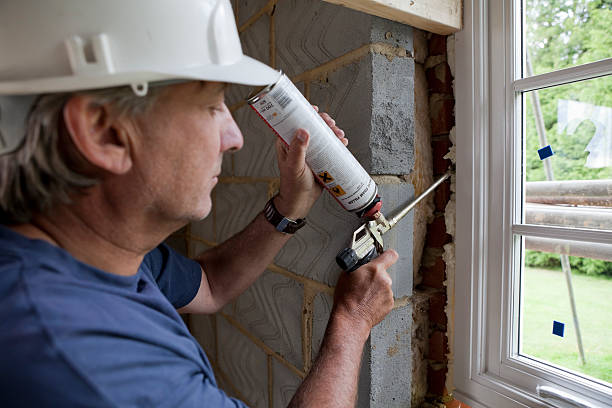 Best Garage Insulation Installation  in Gman, IL