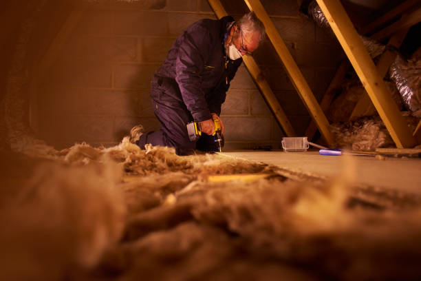 Best Fiberglass Insulation  in Gman, IL